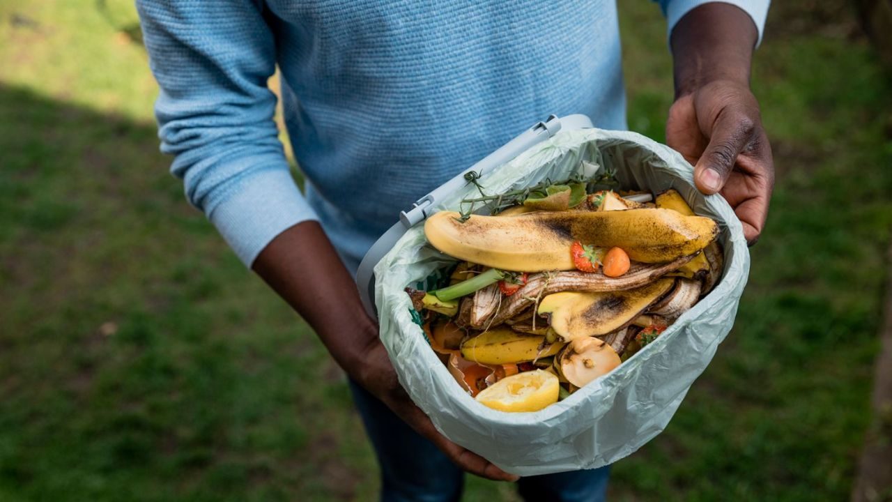 Compost Your Food Scraps