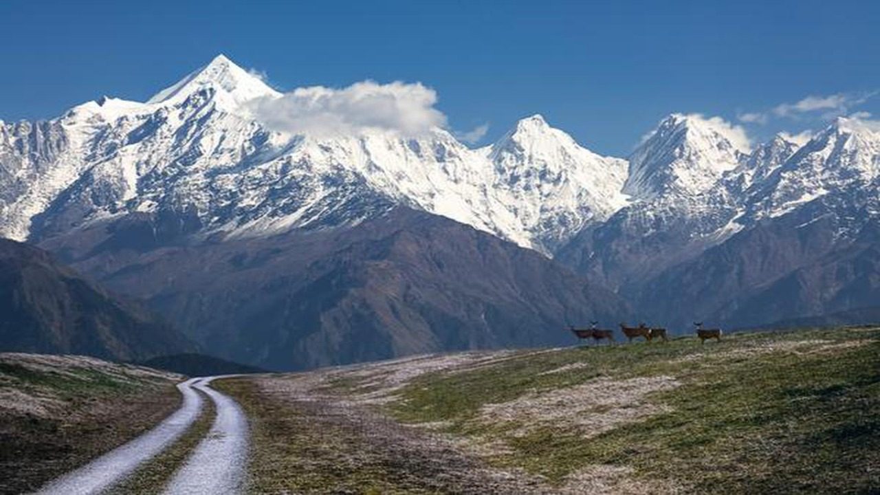 The Himalayas: Beauty Meets Brutality